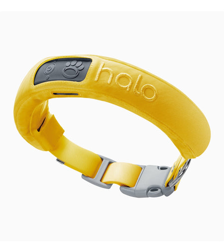 3 - Wireless GPS Dog Fence & Training Collar with Real-Time Tracking, Waterproof