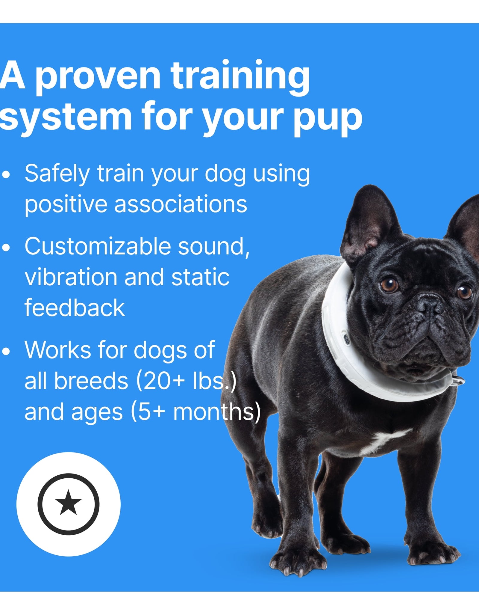 3 - Wireless GPS Dog Fence & Training Collar with Real-Time Tracking, Waterproof