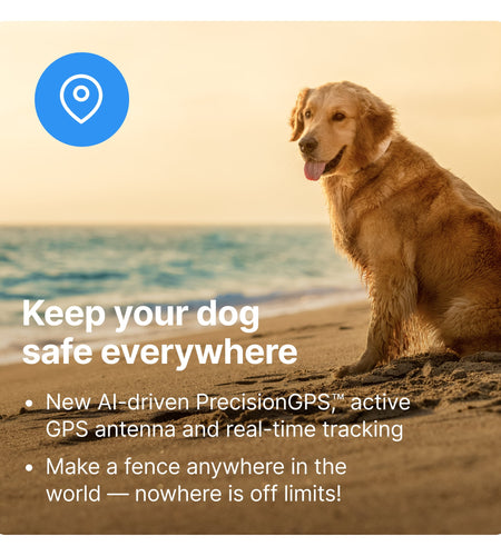 3 - Wireless GPS Dog Fence & Training Collar with Real-Time Tracking, Waterproof