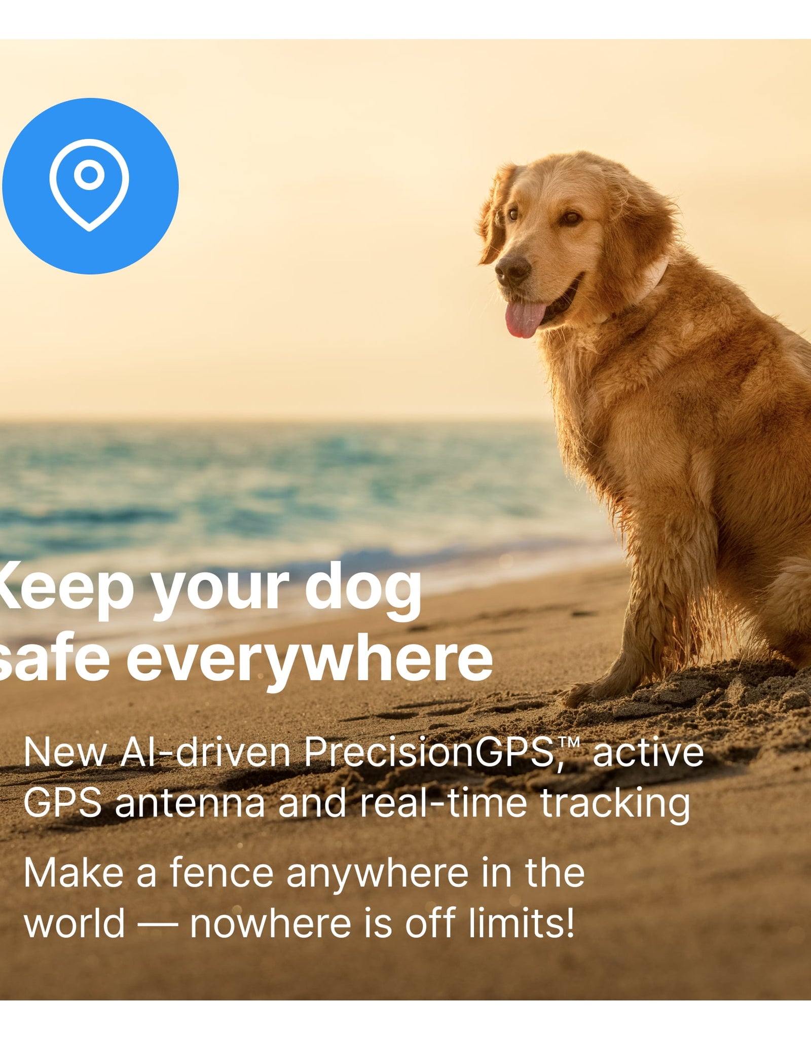3 - Wireless GPS Dog Fence & Training Collar with Real-Time Tracking, Waterproof
